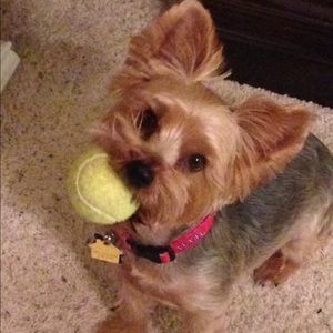 Meet your Posher, Jenette